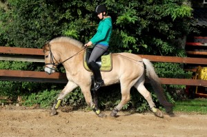 Zenith onder het zadel, gereden door Joyce