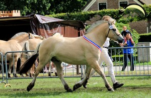 Igor (Udith x Anton)